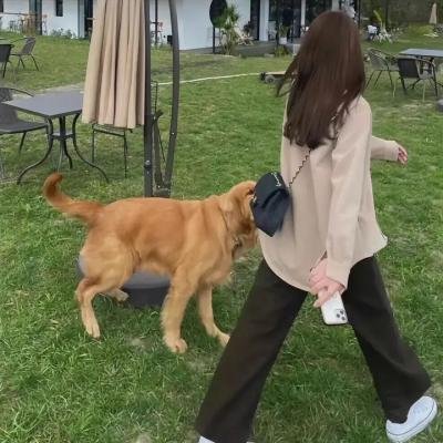 灼眼的夏娜第二季